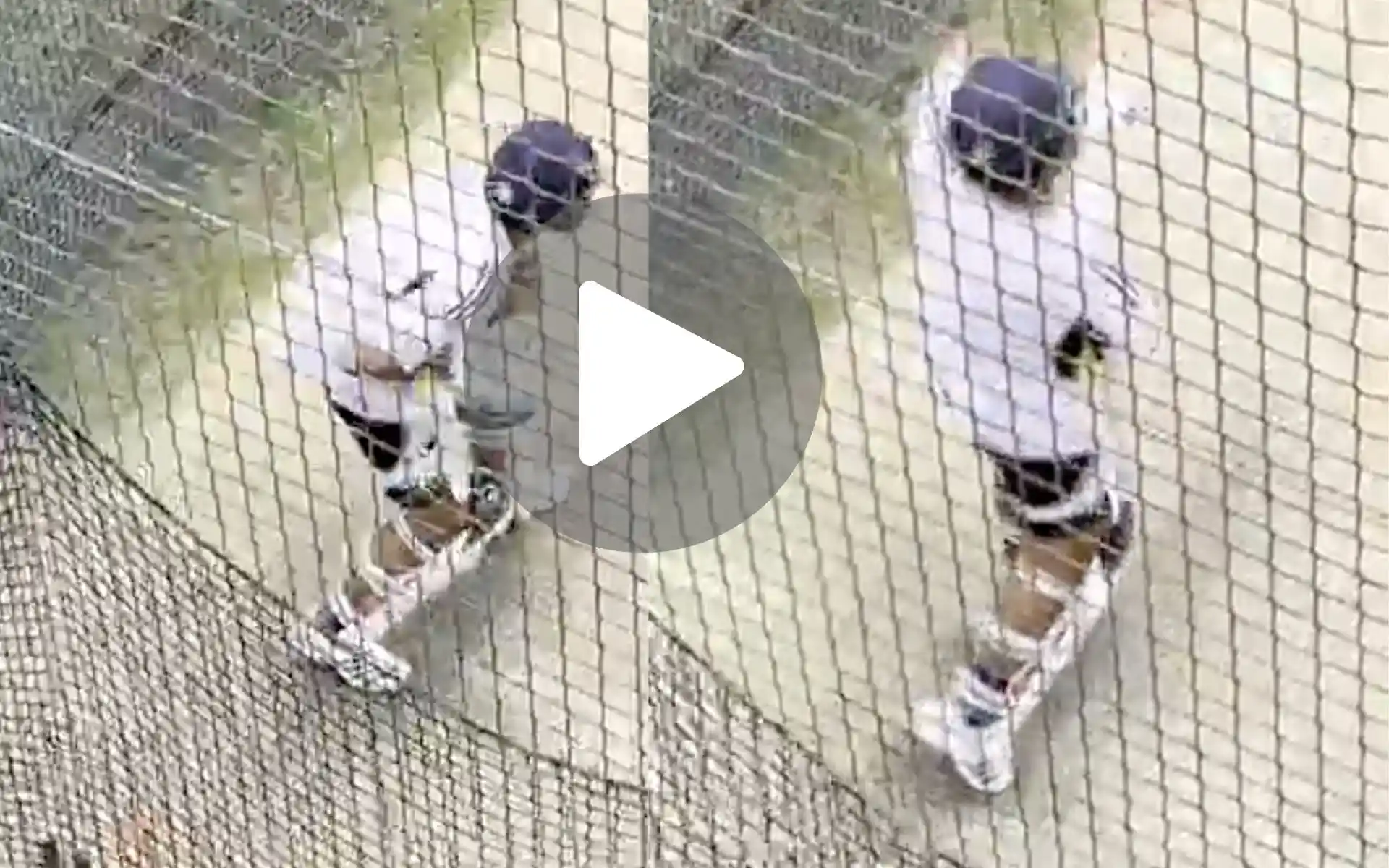 [Watch] Oops! Rohit Sharma Struggles In Net Session As India Captain Living On Borrowed Time